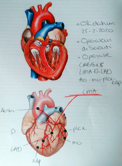 hart-info.jpg